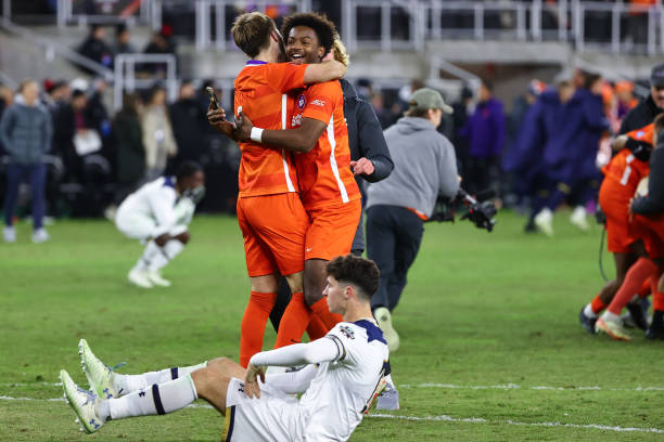 灰熊的取舍 灰熊的取舍